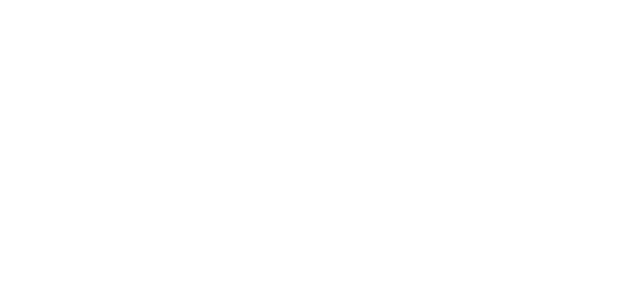 Marco Martins